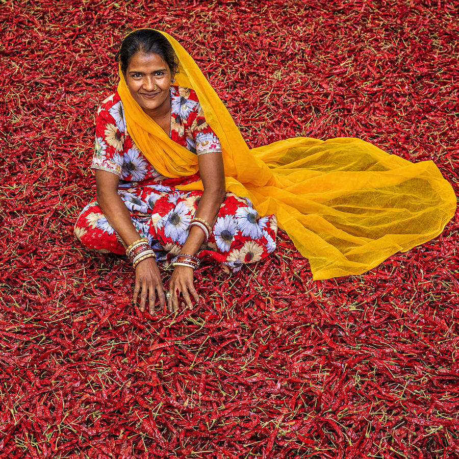 Young Indian woman sorting red chilli peppers, Jodhpur, India #4 Photograph by Hadynyah