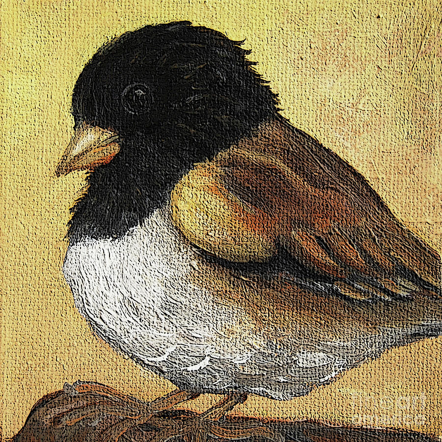 40 Junco Painting by Victoria Page
