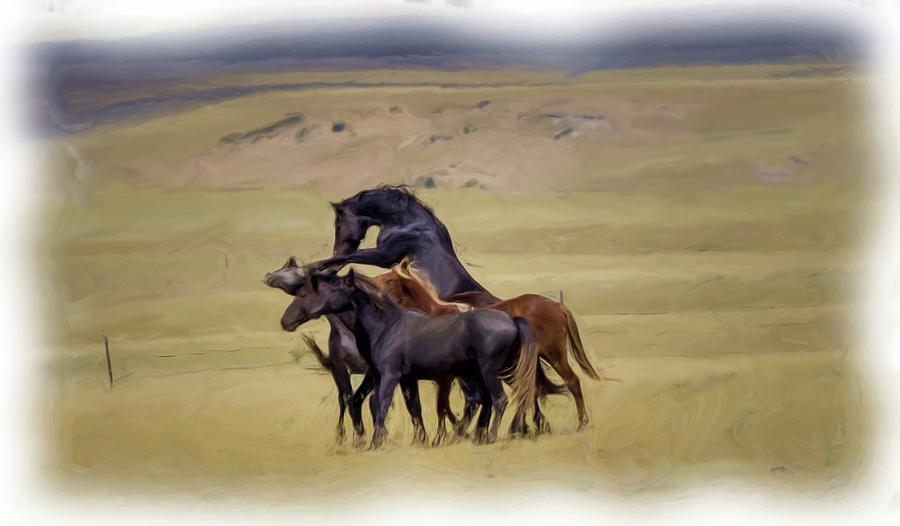 Wild Horses #40 Photograph by Laura Terriere