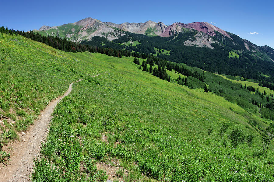 401 Trail Photograph by Paul Huntington - Fine Art America