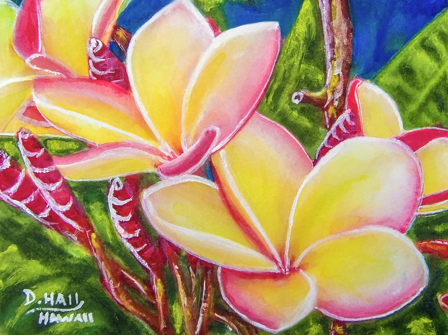 Hawaii Rainbow Plumeria Frangipani Flowers #403 Painting