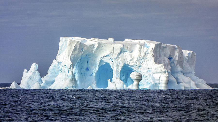 Antarctica #41 Photograph by Paul James Bannerman