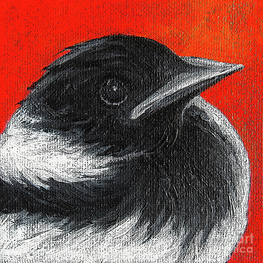 41 Baby Magpie Painting by Victoria Page