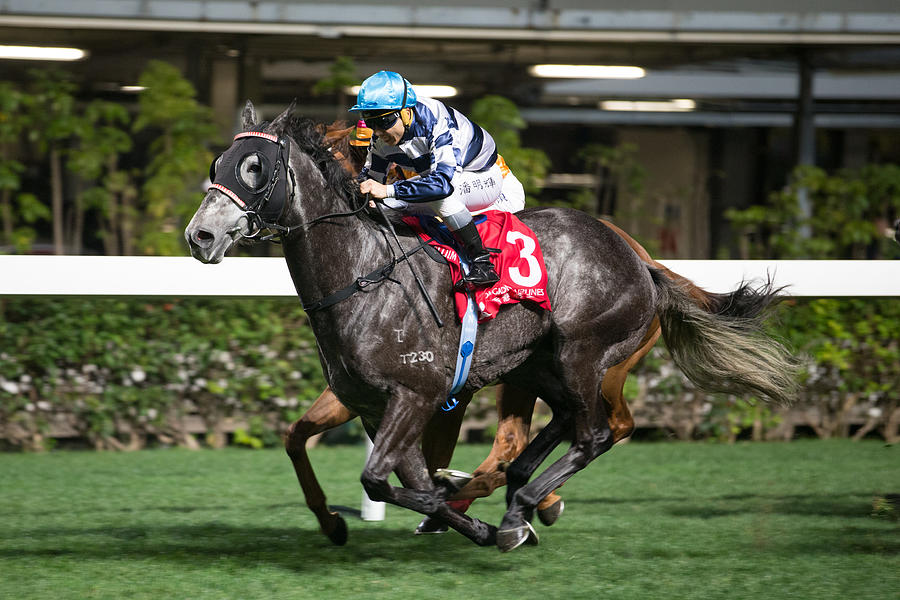 Horse Racing in Hong Kong - Happy Valley Racecourse #411 Photograph by Lo Chun Kit