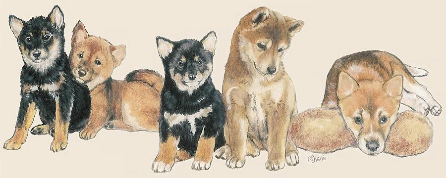 Shiba Inu Puppies Mixed Media by Barbara Keith