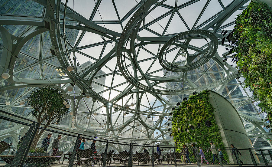 Amazon Spheres #42 Photograph by Tommy Farnsworth