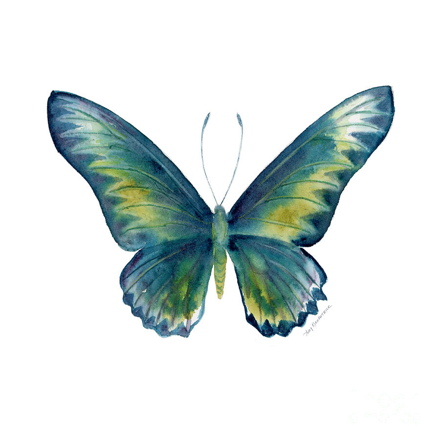 42 Blue Rajah Birdwing Butterfly Painting by Amy Kirkpatrick