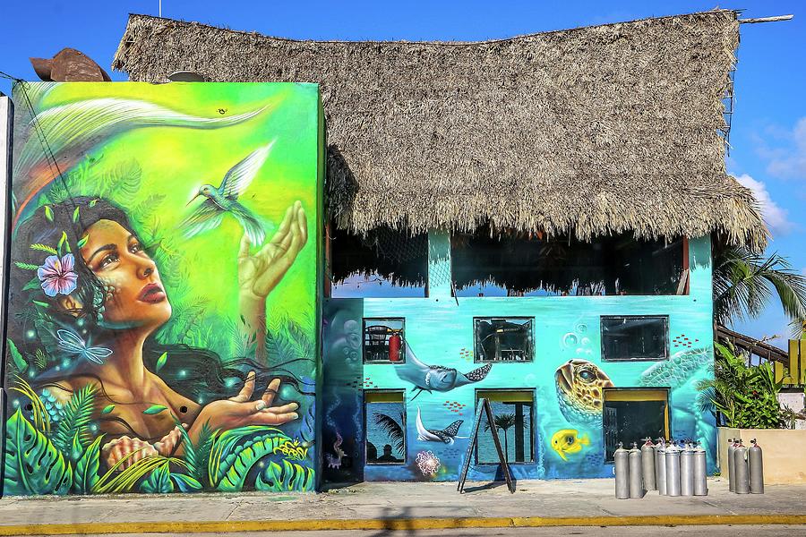 Cozumel Mexico #42 Photograph by Paul James Bannerman