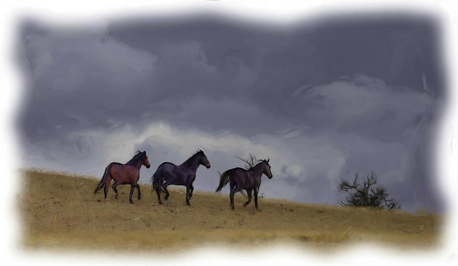 Wild Horses #42 Photograph by Laura Terriere