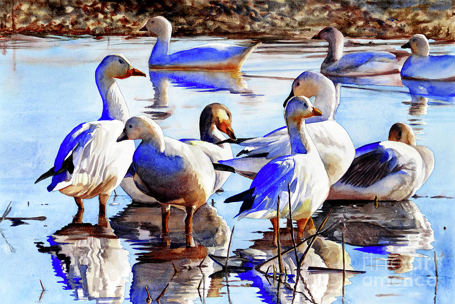 #420 Snow Geese #420 Painting by William Lum