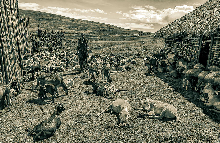 Maasai Village Ngorongoro Tanzania 4231 Photograph by Amyn Nasser