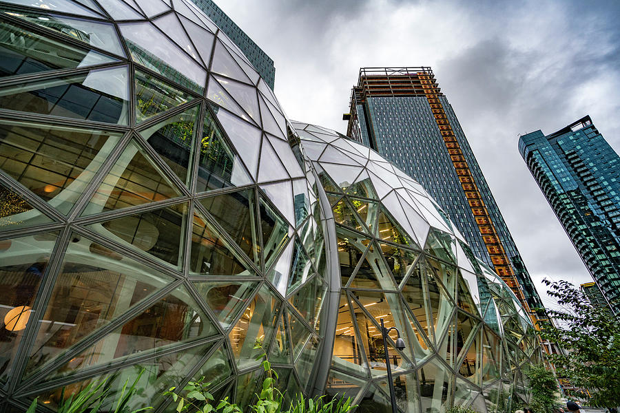 Amazon Spheres #43 Photograph by Tommy Farnsworth
