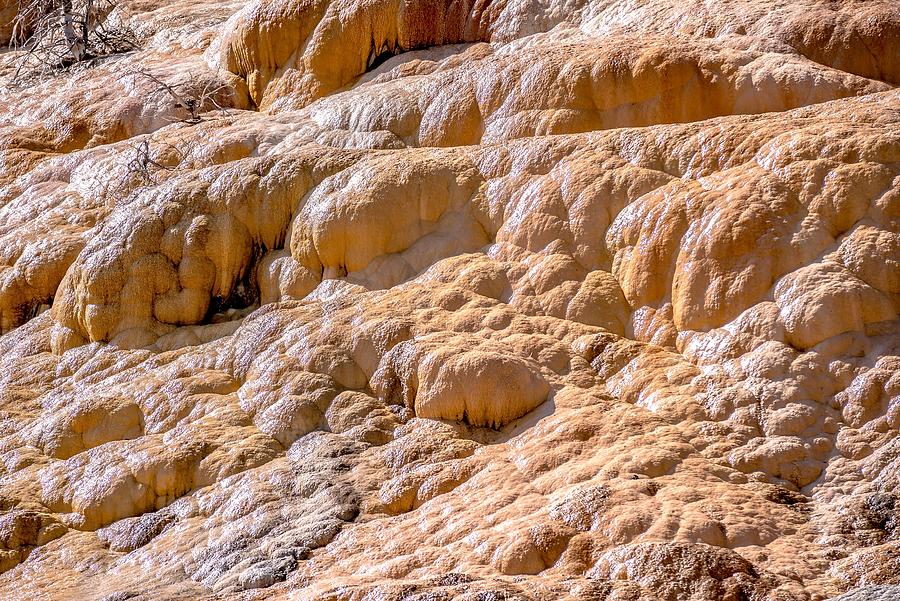 Travertine Terraces, Mammoth Hot Springs, Yellowstone #43 Photograph by Alex Grichenko