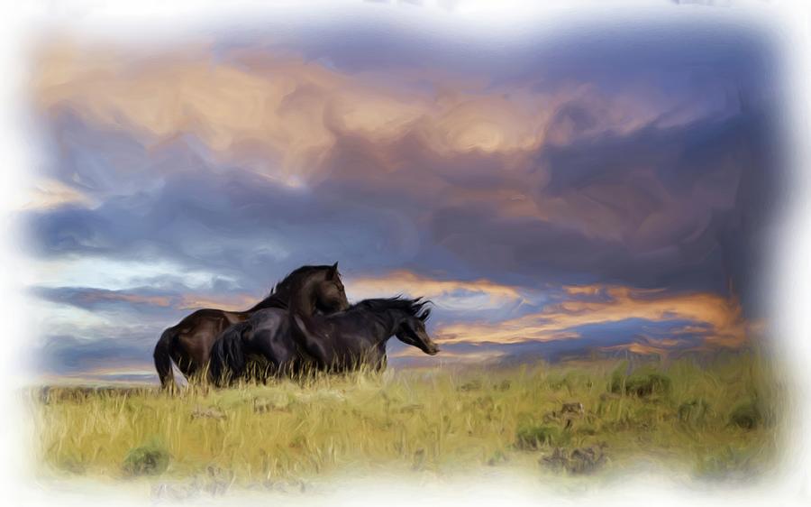 Wild Horses #43 Photograph by Laura Terriere