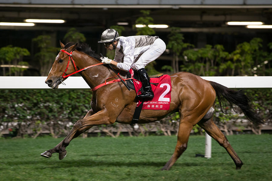 Horse Racing in Hong Kong - Happy Valley Racecourse #434 Photograph by Lo Chun Kit