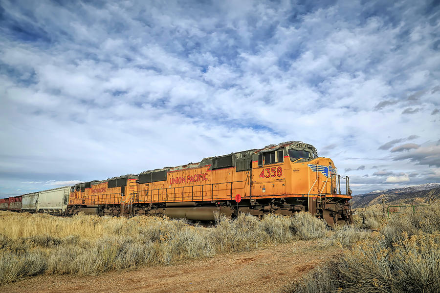 4358 at Rest Photograph by Donna Kennedy