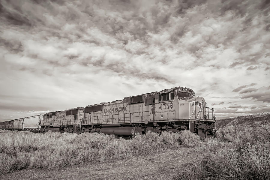 4358 at Rest - Sepia Photograph by Donna Kennedy