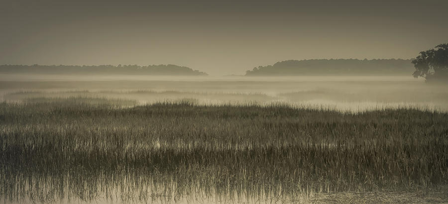 Over a Cloudy Foggy Lowcountry Marsh Photograph by Norma Brandsberg