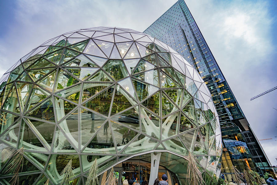Amazon Spheres #44 Photograph by Tommy Farnsworth