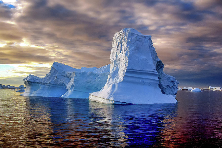 Antarctica #44 Photograph by Paul James Bannerman