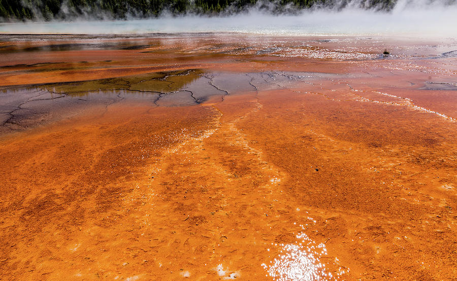 Grand Prismatic Spring in Yellowstone National Park #44 Photograph by Alex Grichenko
