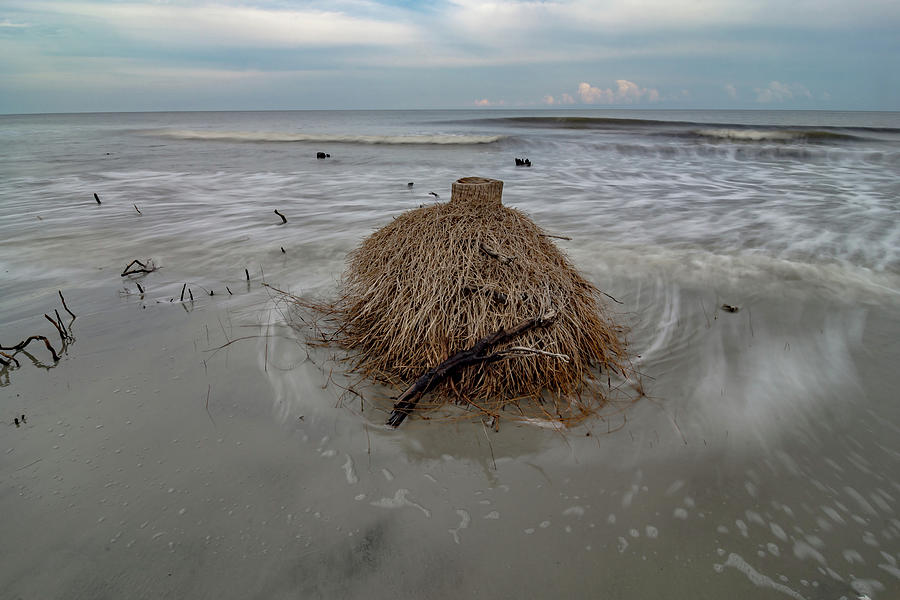 Hunting island south carolina beach scenes #44 Photograph by Alex Grichenko