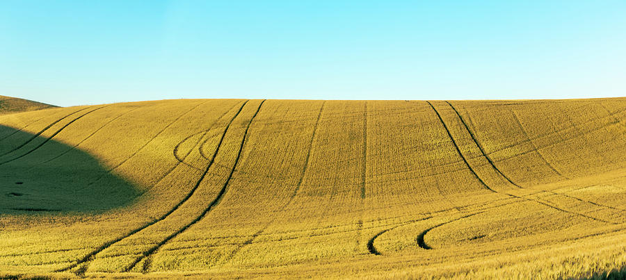 Magical wheat farm fields in palouse washington  #44 Photograph by Alex Grichenko