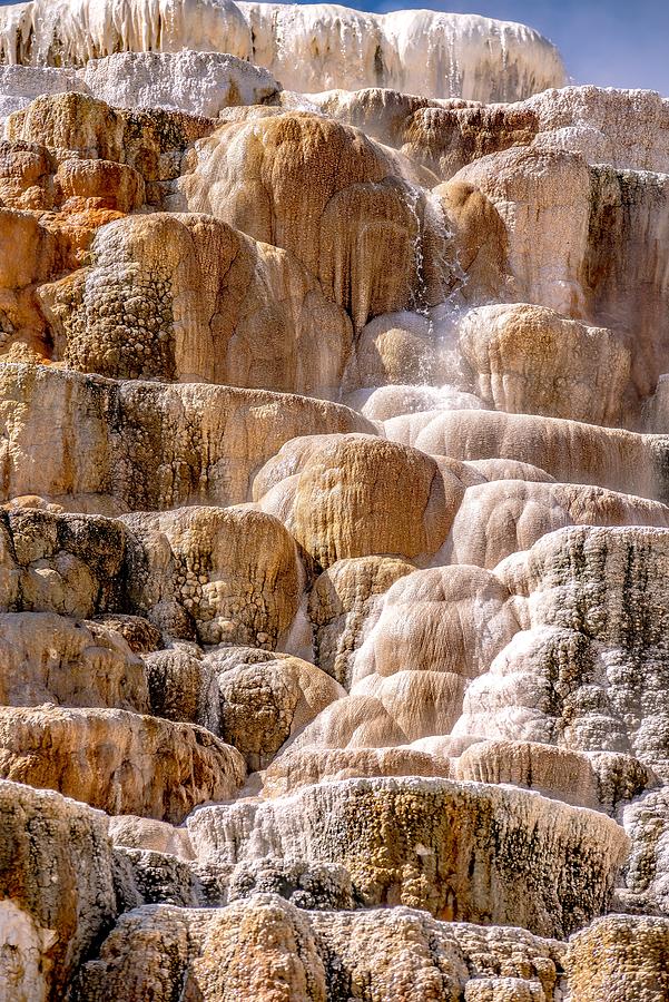 Travertine Terraces, Mammoth Hot Springs, Yellowstone #44 Photograph by Alex Grichenko