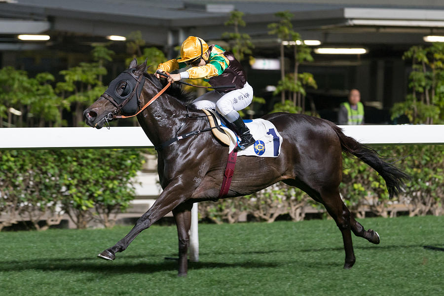 Horse Racing in Hong Kong - Happy Valley Racecourse #448 Photograph by Lo Chun Kit