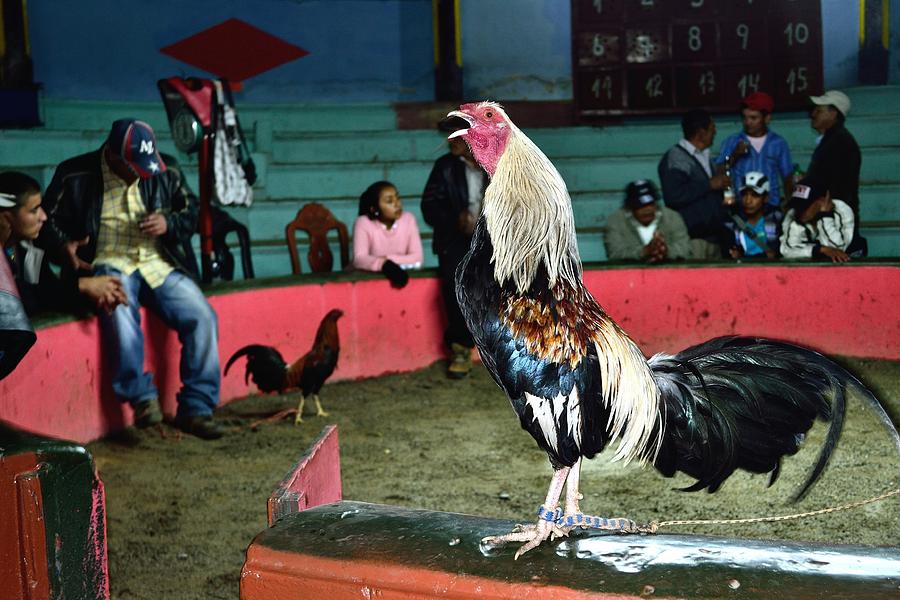 Portrait Photograph - Ayabaca- Peru #449 by Carlos Mora