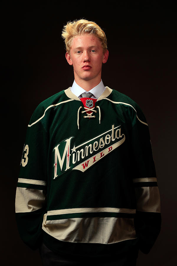 2013 NHL Draft - Portraits #45 Photograph by Jamie Squire