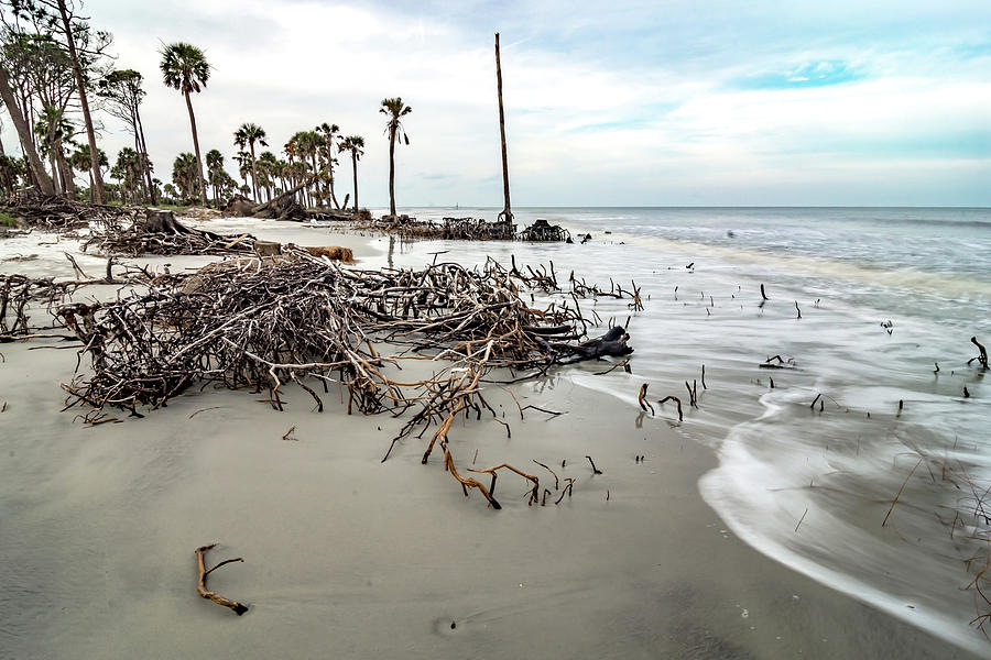 Hunting island south carolina beach scenes #45 Photograph by Alex Grichenko