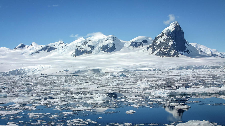 Antarctica #46 Photograph by Paul James Bannerman