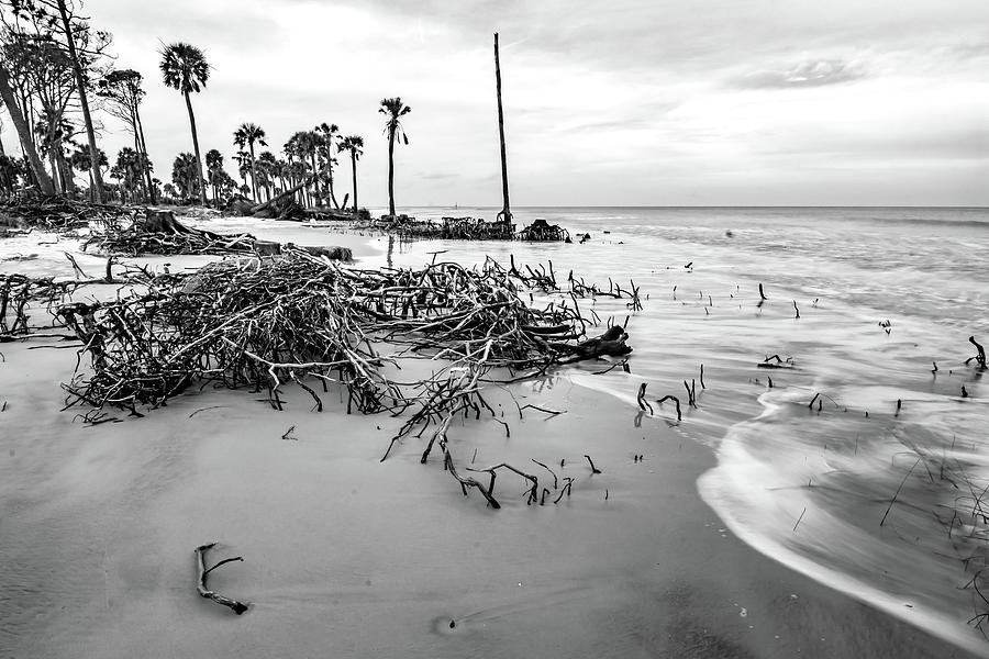 Hunting island south carolina beach scenes #46 Photograph by Alex Grichenko