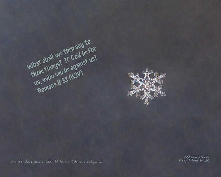 Inspirational Real Life Snowflake Photograph Bible Verse Scripture ...