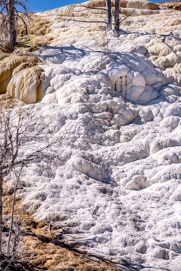 Travertine Terraces, Mammoth Hot Springs, Yellowstone #46 Photograph by Alex Grichenko