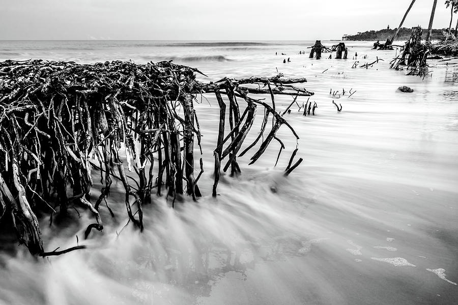 Hunting island south carolina beach scenes #47 Photograph by Alex Grichenko