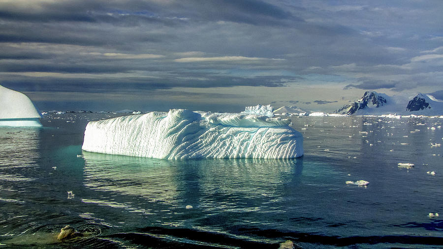 Antarctica #48 Photograph by Paul James Bannerman