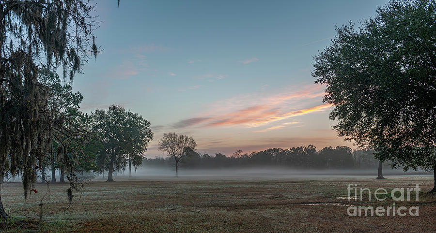 Sunrise And Fog Over The Lowcountry Photograph