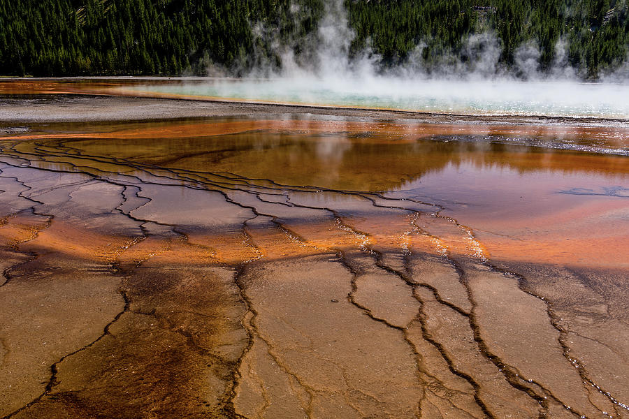 Grand Prismatic Spring in Yellowstone National Park #49 Photograph by Alex Grichenko