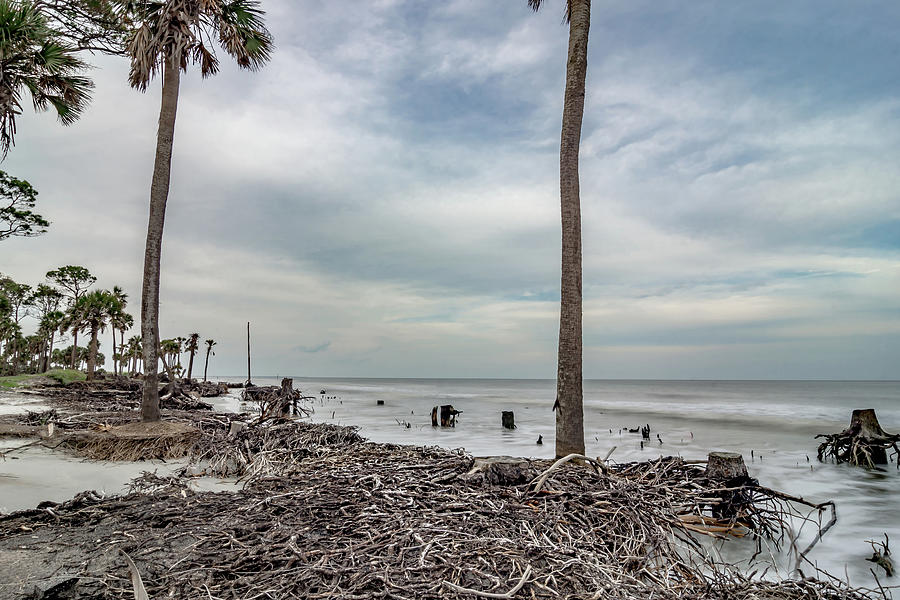 Hunting island south carolina beach scenes #49 Photograph by Alex Grichenko