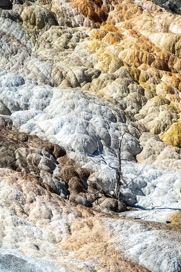 Travertine Terraces, Mammoth Hot Springs, Yellowstone #49 Photograph by Alex Grichenko