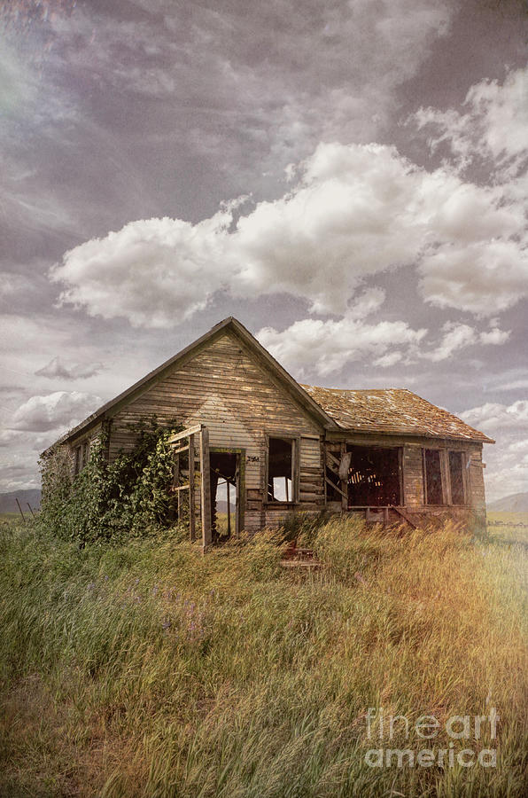 Architecture Photograph - Abandoned House #5 by Jill Battaglia
