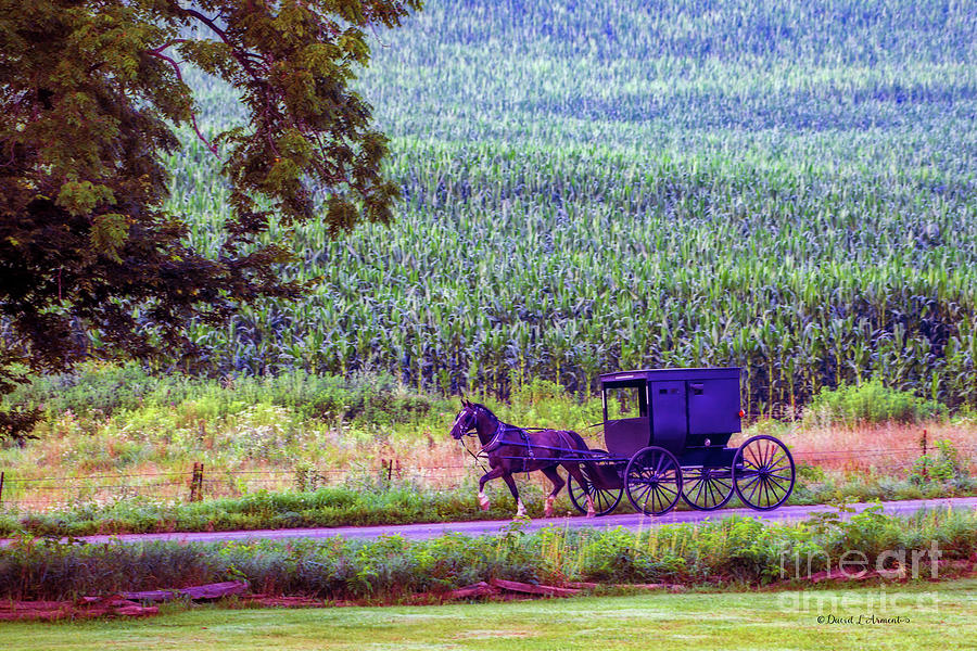 Amish Buggy on Rural Indiana Road #5 Photograph by David Arment