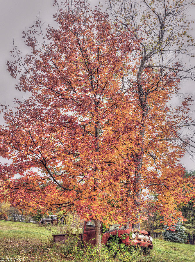 Another Autumn #5 Photograph by Richard Bean
