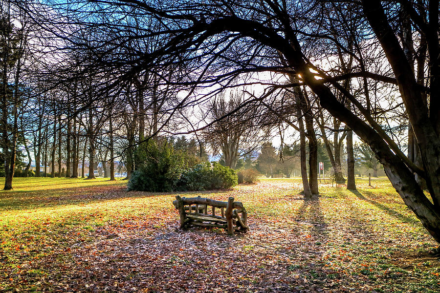 Autumn in New Zealand Photograph by Pla Gallery Pixels