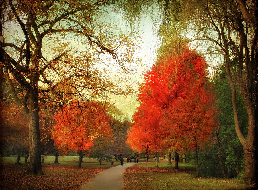 Tree Photograph - Autumn Promenade #2 by Jessica Jenney
