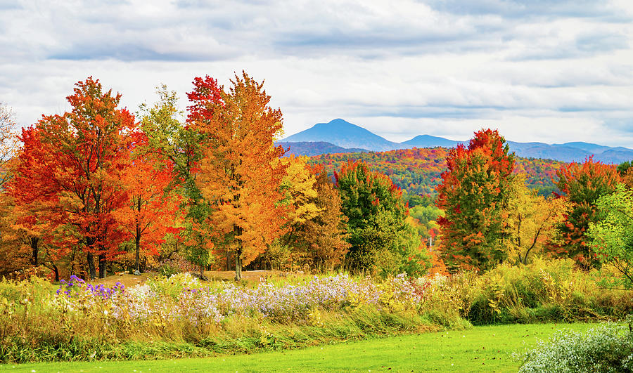 Autumn scene in Vermont #5 Photograph by Ann Moore