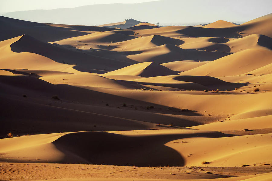 Background with sandy dunes in desert #5 Photograph by Mikhail Kokhanchikov