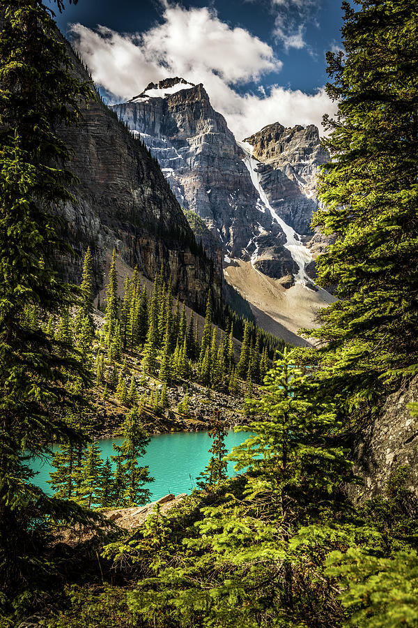 Banff National Park Photograph - Banff National Park #5 by Brian Venghous